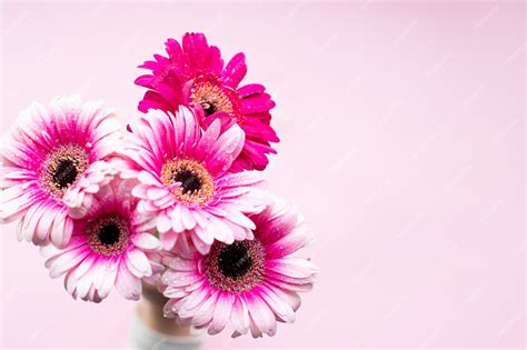 Premium Photo Pink Gerbera Flowers Happy Mothers Day Design Fresh