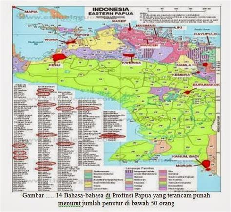 Tingkat Kepunahan Bahasa Bahasa Papua Buletin Gantrocen