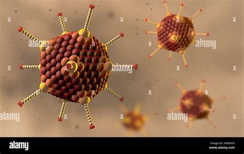 Partículas De Adenovirus Ilustración Fotografía De Stock Alamy
