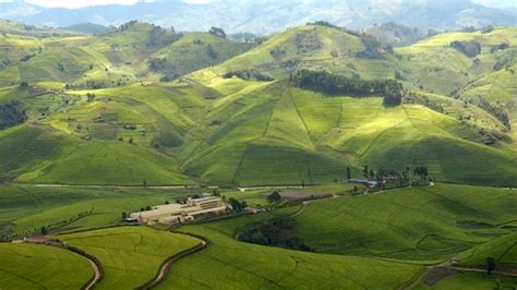 I am absolutely in love with the landscapes here. CIDT supports the Government of Rwanda to secure $32.79m ...
