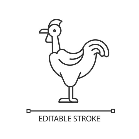 Transylvanian Chicken Linear Icon Naked Neck Chicken Featherless Neck Bird Poultry Farming