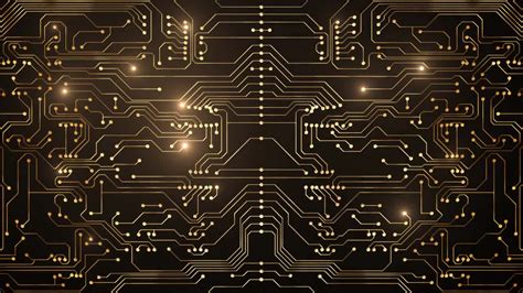 Gold Circuit Board Looped Animation Stock Motion Graphics Motion Array