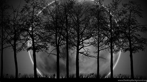 Dark Forest Moon Wallpapers Top Free Dark Forest Moon Backgrounds