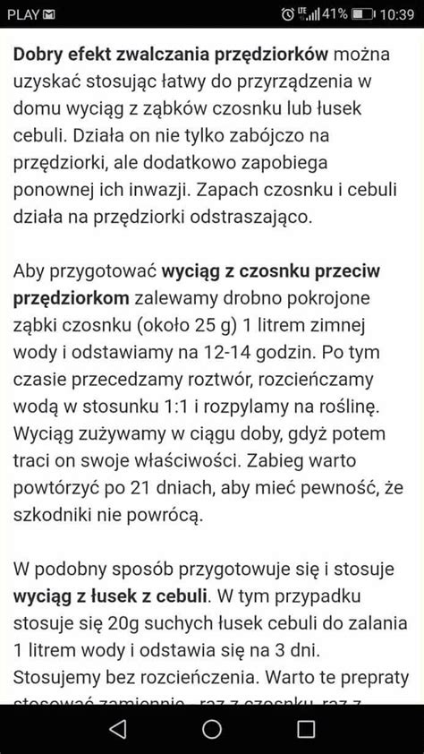 Czy Mozna Zajsc W Ciaze Bez Wytrysku - Zdjęcia W Czasie Stosunku | Polska Zdjecia