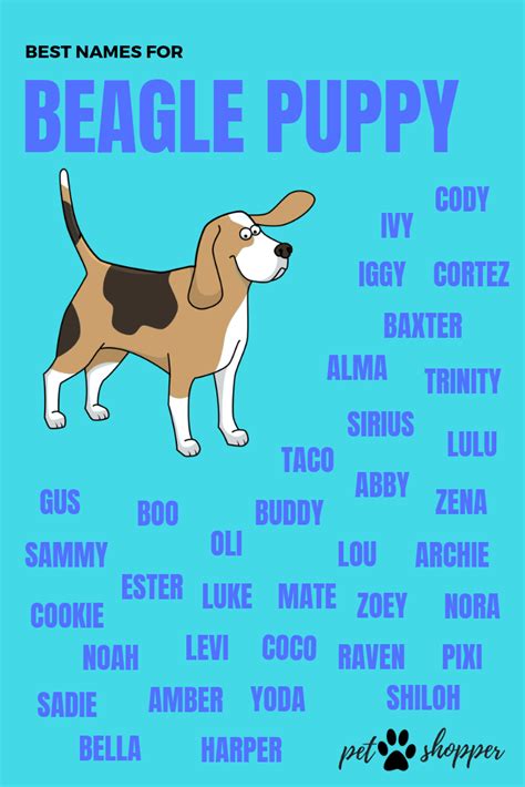 50 Best Ideas For Coloring Dog Names For Girls