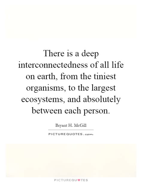 There Is A Deep Interconnectedness Of All Life On Earth From