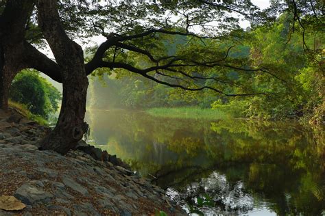 Free Images Landscape Tree Water Nature Forest