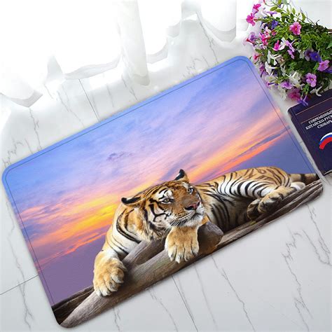 Phfzk Lying Tiger Under Beautiful Sky Doormat Outdoorsindoor Doormat