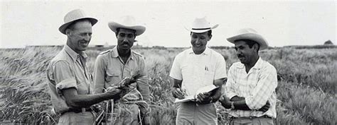 Norman Borlaug Norman Borlaug