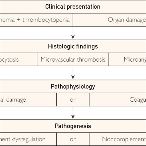 clinicopathologic overview of thrombotic microangiopathy download scientific diagram