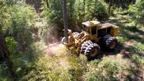G Feller Buncher Video Logging Videos Tigercat Tv