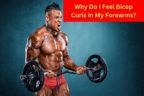 Why Do I Feel Bicep Curls In My Forearms 6 Things You Should Know My