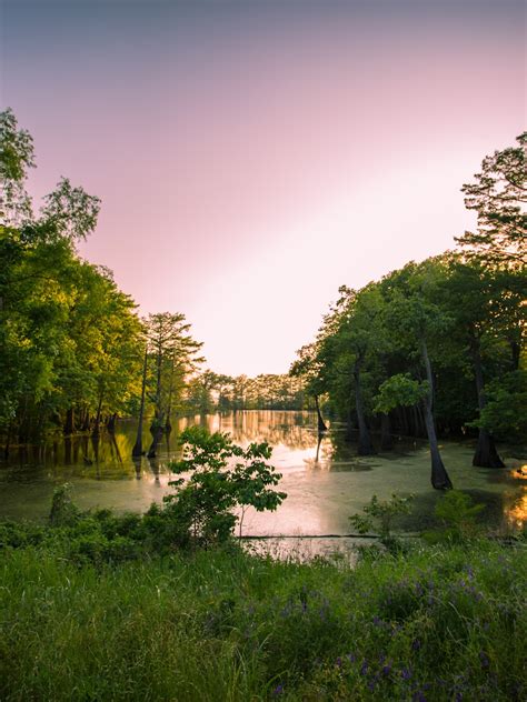 7 Beautiful Lakes In Louisiana Usa
