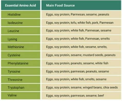 The 9 Essential Amino Acids What Are They And Why Do We Need Them