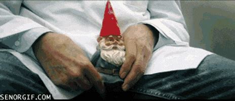 Im a gnome meme sound effect woo. Lawn Gnome GIFs - Find & Share on GIPHY