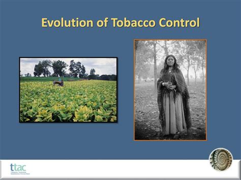 Ppt Evolution Of Tobacco Control Powerpoint Presentation Free Download Id 2407872