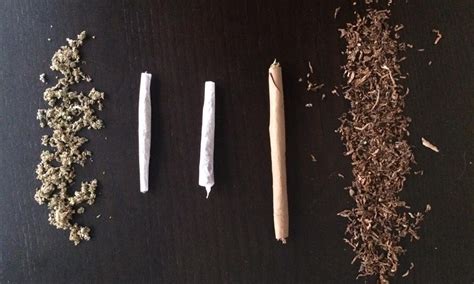 Joints Vs Blunts Vs Spliffs Whats The Difference Leafly