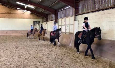 Fletchers Farm Riding School Riding Lessons And Pony Club Essex