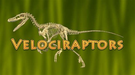 10 Facts About Velociraptor Dinosaurs For Kids Raptor Fun Facts