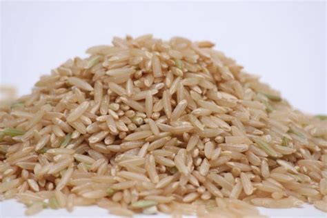Does Rice Make You Fat Myth And Facts About Rice In 2023