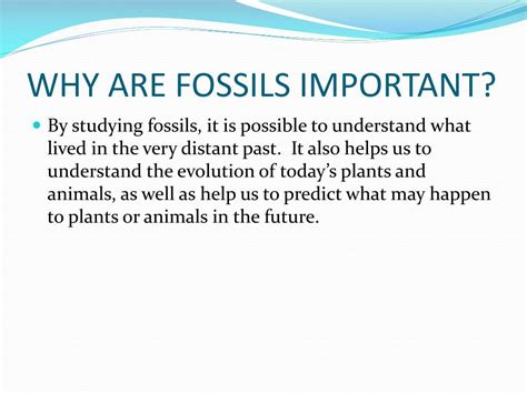 Ppt Learn About Fossils Powerpoint Presentation Free Download Id 2806843