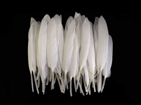 1 Pack Natural White Duck Cochettes Loose Wing Quill Feather 030 Oz