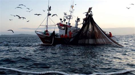 La Pesca Ilegal En México Corresponde A Un 60 De La