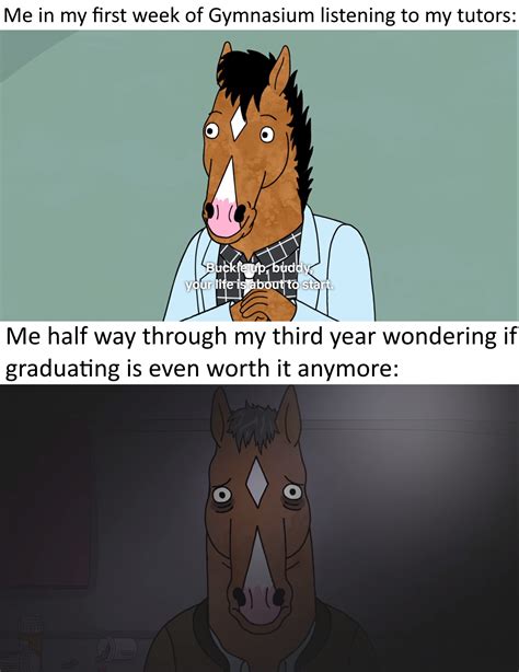 Making A Meme Out Of Every Episode Of Bojack Horseman S6 Ep14 R