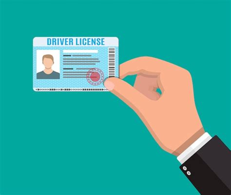 Tarjeta De Identificación De Licencia De Conducir Con Foto Vector