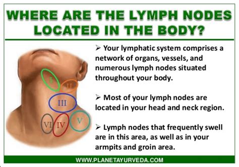 Lymphmassage Lymph Massage Neck Swollen Lymph Nodes Lymph Nodes