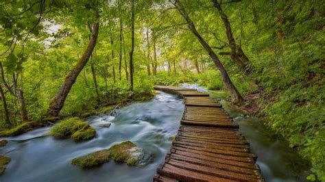 Bing Hd Wallpaper Apr 19 2022 Plitvice Lakes National Park In Croatia