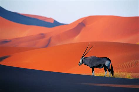 Namibia Travel Guide Essential Facts And Information
