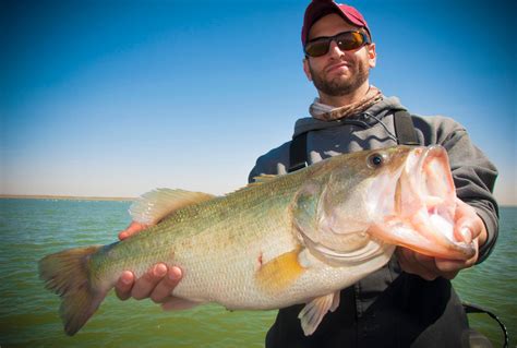 Why 4 Pound Bass Can Be The Most Important You Catch Field And Stream