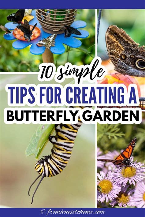 I Love These Tips On How To Attract Butterflies To Your Garden So Many