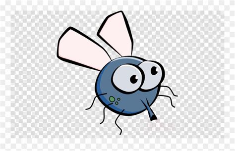 Download Fruit Fly Cartoon Png Clipart Drawing Clip - Cute Cartoon Fly Transparent Png (#1297367 ...