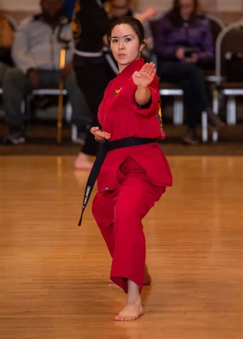 Adult Martial Arts Usa Karate