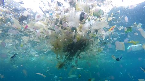 Plastic In Sea