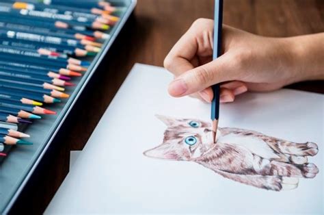 25 Gambar Ilustrasi Hewan Yang Mudah Digambar Contoh Seni