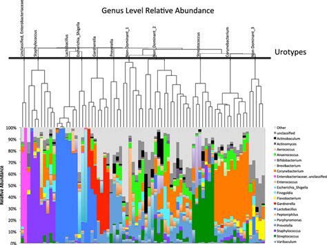 Genus Level Relative Abundance Each Vertical Bar Represents The