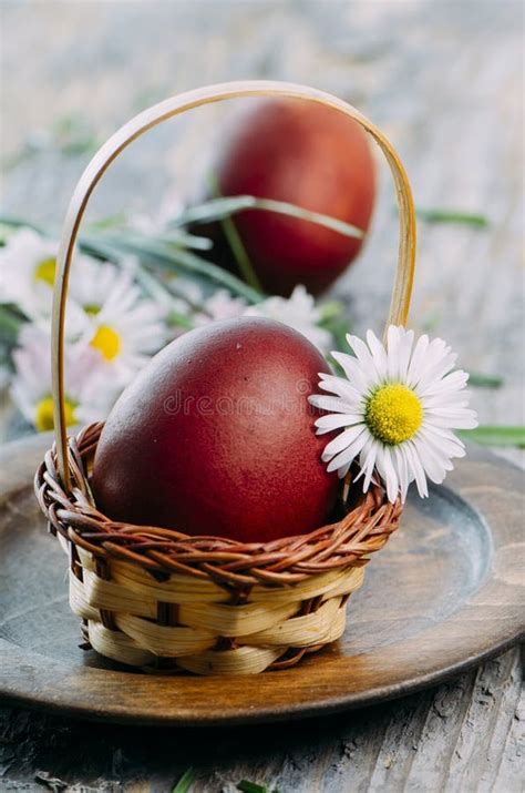 Easter Eggs And Daisy Flower Stock Image Image Of Life Decoration