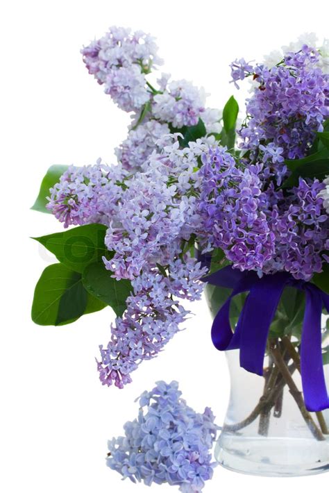 Mixed Lilac In Vase Stock Image Colourbox