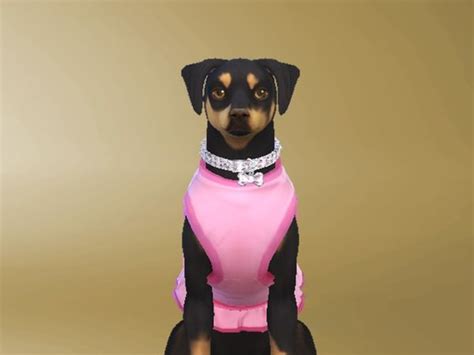 The Sims Resource Sims 4 Pets Sims Pets Sims 4 Clothing