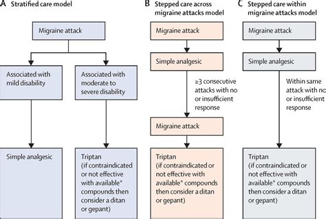 Migraine Integrated Approaches To Clinical Management And Emerging