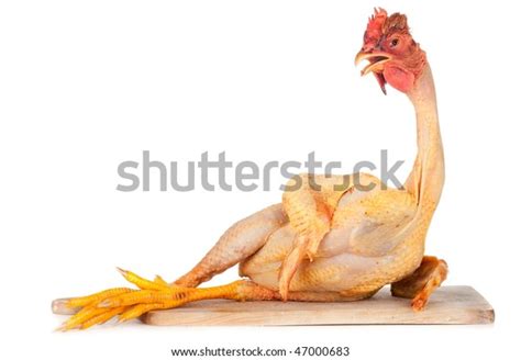 Funny Raw Chicken Images Stock Photos Vectors Shutterstock