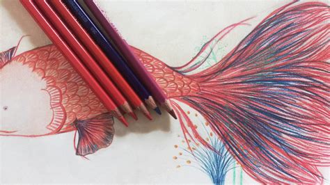 Cómo Dibujar Con Lápices De Colores Paso A Paso Muy Fácil 2023