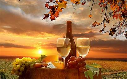 Wine Autumn Grape Barrel Winery Sunset Sun