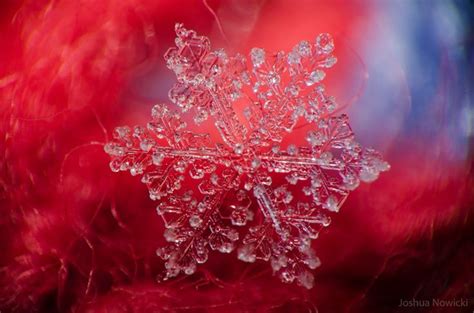 Six Unbelievable Close Up Snowflakes That Reveal The Magic Of Winter