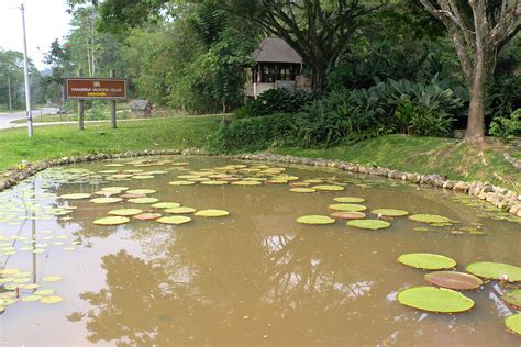 Offering a barbecue and sauna, casabrina vacation villas is set in raub in the pahang region, 27 km from genting highlands. JE TunNel: Casabrina Vacation Villas- Luxury in Nature