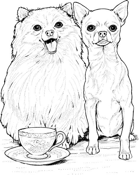 Chihuahua Puppy Coloring Pages