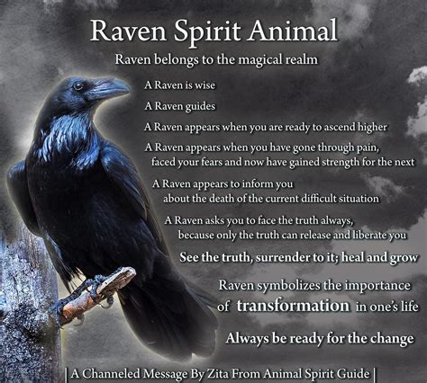 Raven Spirit Animal in 2021 | Raven spirit animal, Animal totem spirit guides, Spirit animal